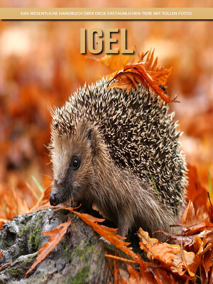 cover image of Igel